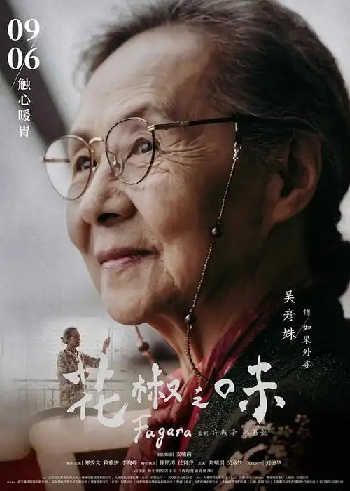 夜航西飞 传记电影在线观看